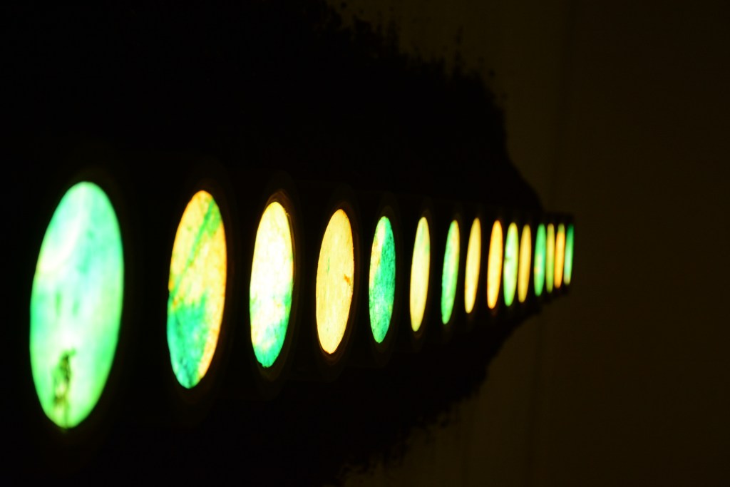 Sığınak’tan Gelen Sesler