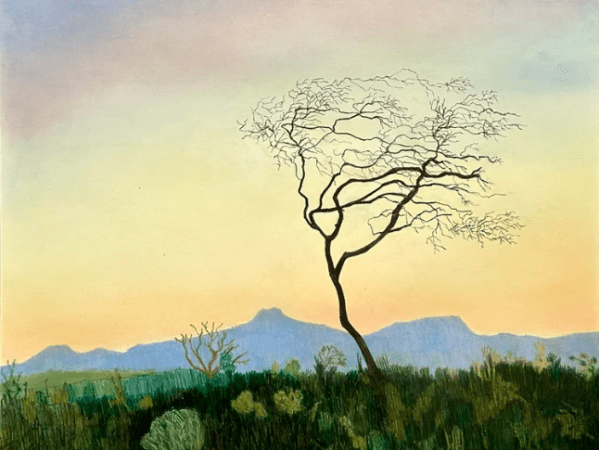 Per Adolfsen: Sessizliğin ve Doğanın&nbsp;Çizgileri