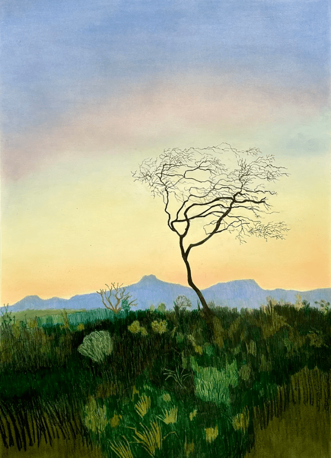 Per Adolfsen: Sessizliğin ve Doğanın&nbsp;Çizgileri